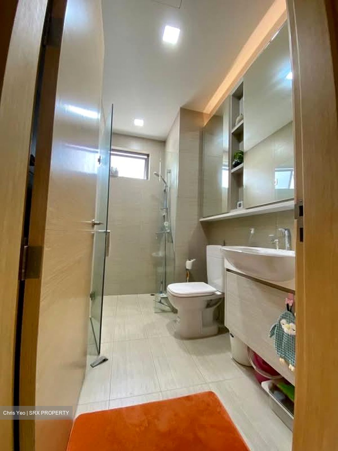 The Skywoods (D23), Condominium #599569631